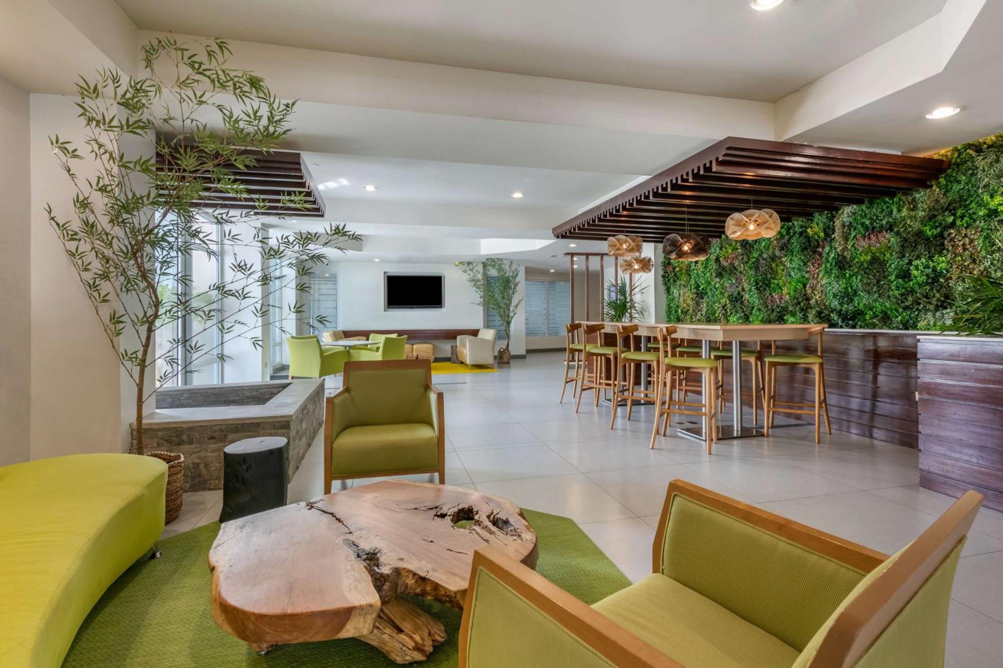 Condado Palm Inn San Juan, Tapestry Collection By Hilton Ngoại thất bức ảnh